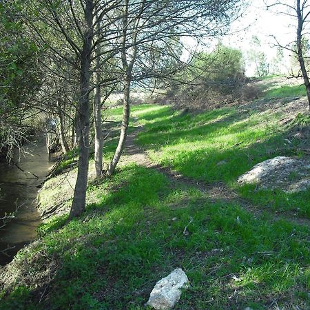 Quinta Da Alma Cheia Konuk evi Ninho do Açor Dış mekan fotoğraf