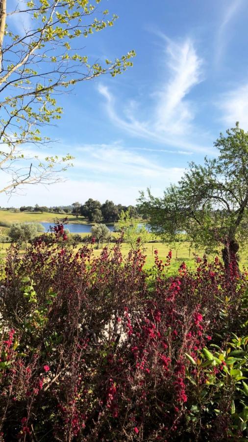 Quinta Da Alma Cheia Konuk evi Ninho do Açor Dış mekan fotoğraf