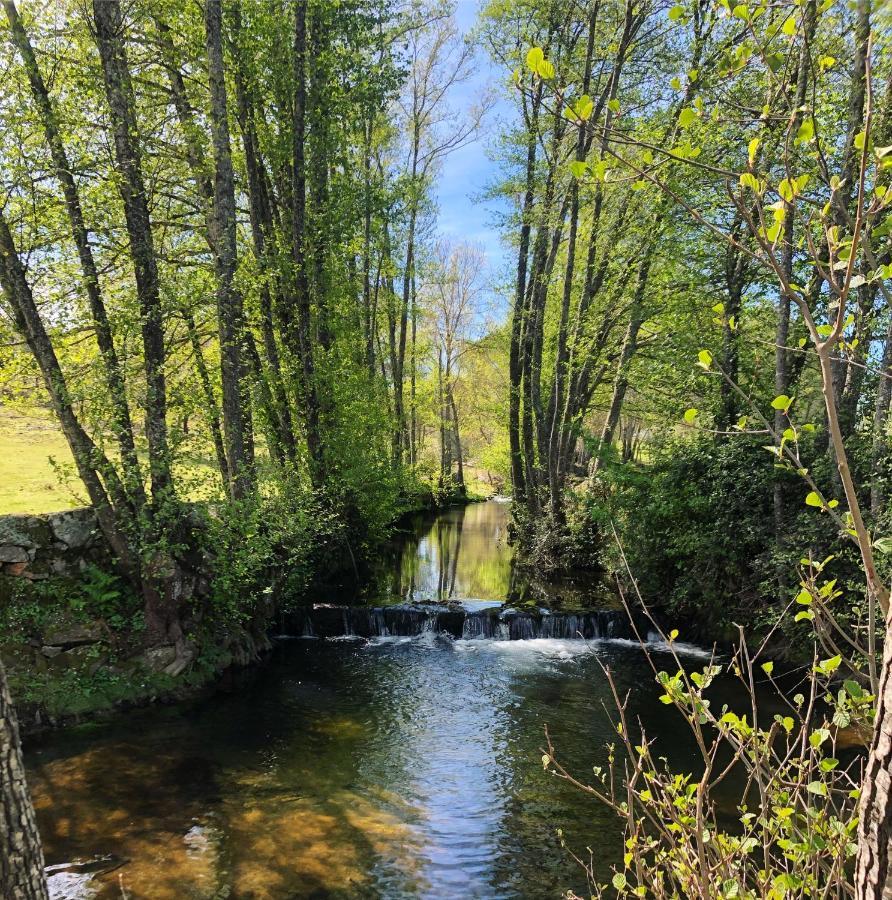 Quinta Da Alma Cheia Konuk evi Ninho do Açor Dış mekan fotoğraf