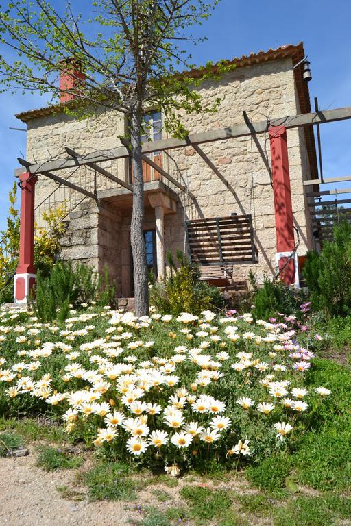 Quinta Da Alma Cheia Konuk evi Ninho do Açor Dış mekan fotoğraf
