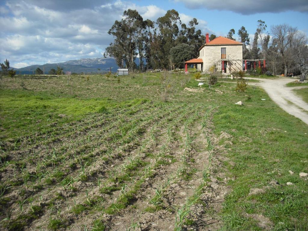 Quinta Da Alma Cheia Konuk evi Ninho do Açor Dış mekan fotoğraf