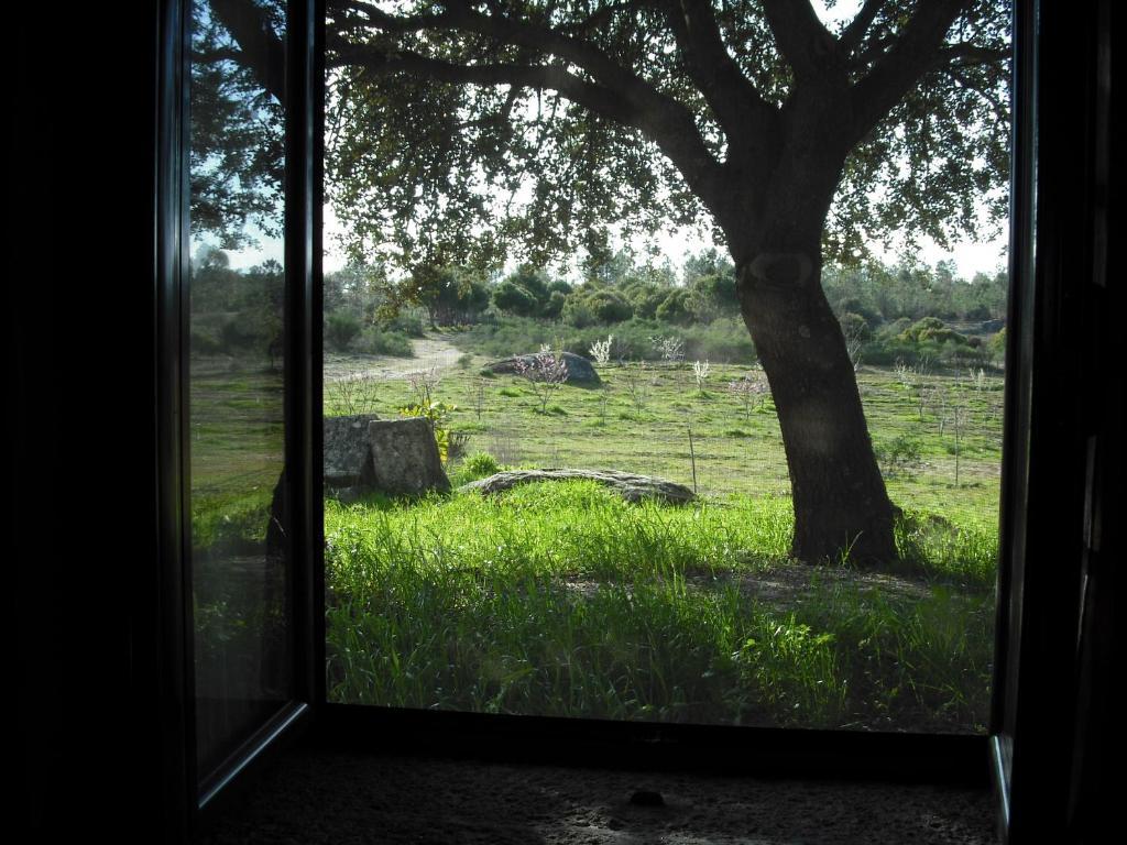 Quinta Da Alma Cheia Konuk evi Ninho do Açor Oda fotoğraf