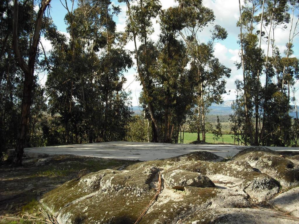 Quinta Da Alma Cheia Konuk evi Ninho do Açor Dış mekan fotoğraf