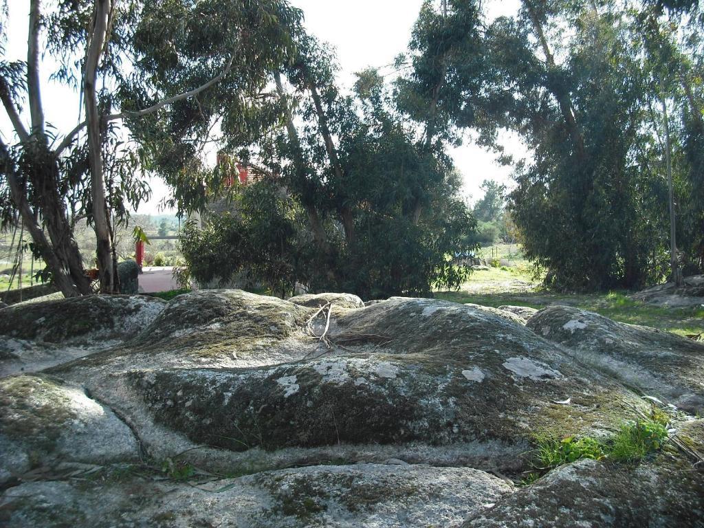 Quinta Da Alma Cheia Konuk evi Ninho do Açor Oda fotoğraf