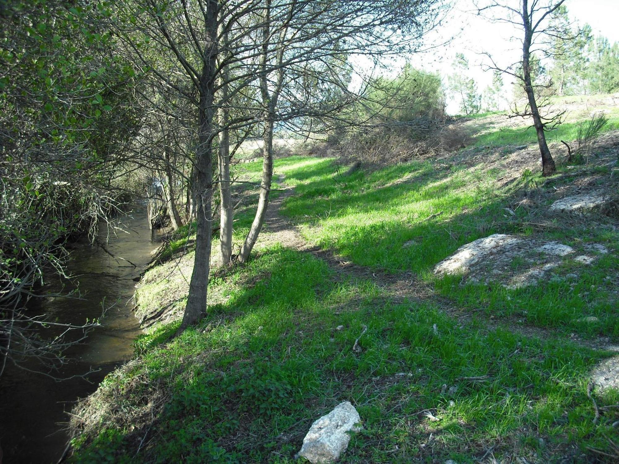 Quinta Da Alma Cheia Konuk evi Ninho do Açor Dış mekan fotoğraf