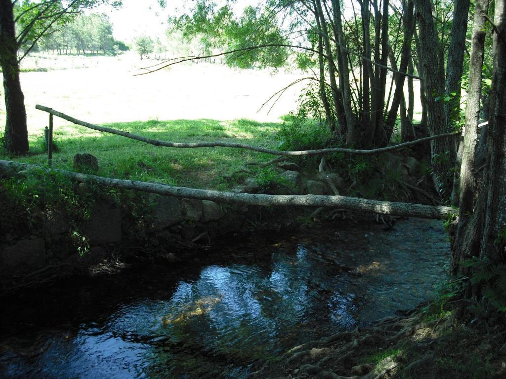 Quinta Da Alma Cheia Konuk evi Ninho do Açor Dış mekan fotoğraf